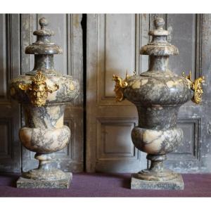 Pair Of Ornamental Covered Vases Mid Nineteenth Century