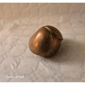 Bronze Paperweight