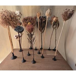 Dried Flower Set