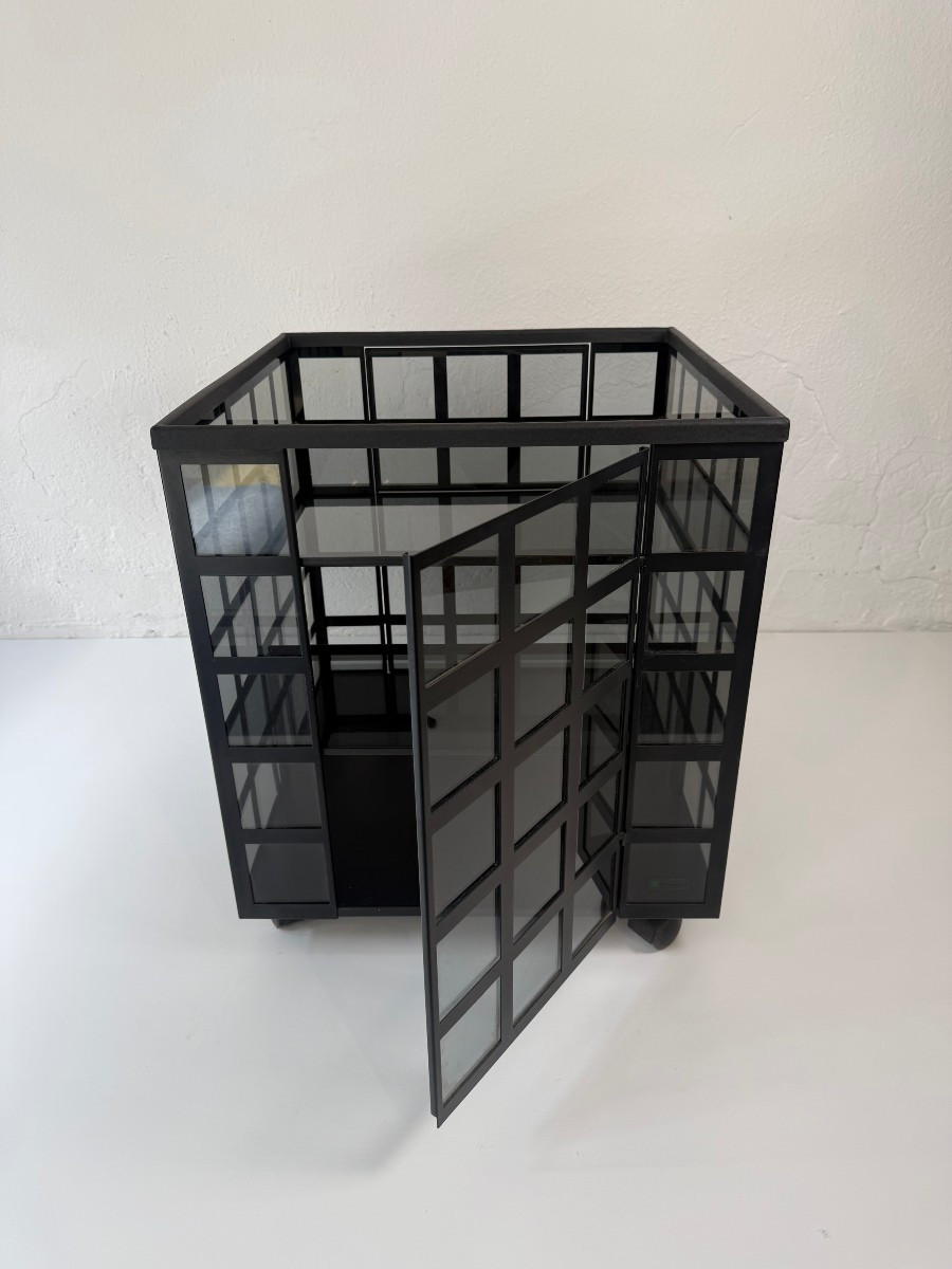 Anna Anselmi per Bieffeplast, carrello bar "Go Go" - anni '70-photo-4