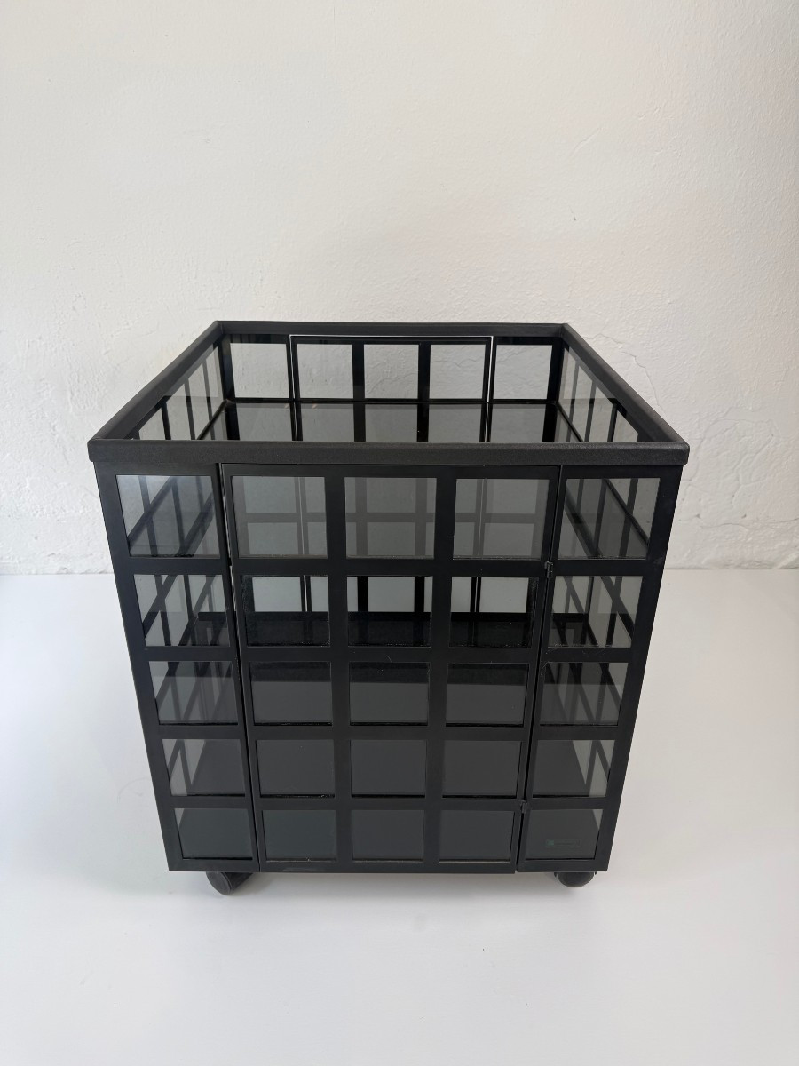 Anna Anselmi per Bieffeplast, carrello bar "Go Go" - anni '70-photo-7