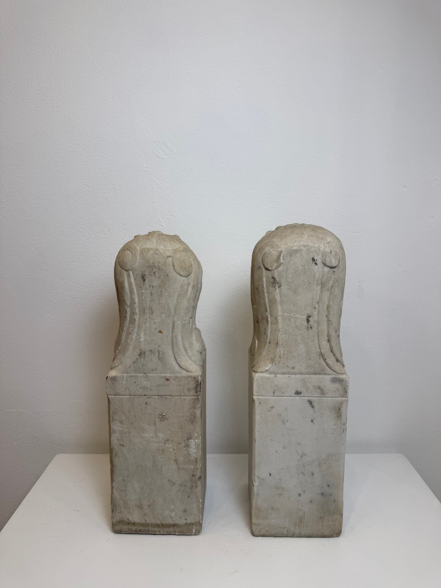 Coppia di leoni fiorentini in marmo bianco di Carrara - fine XIX secolo -photo-5