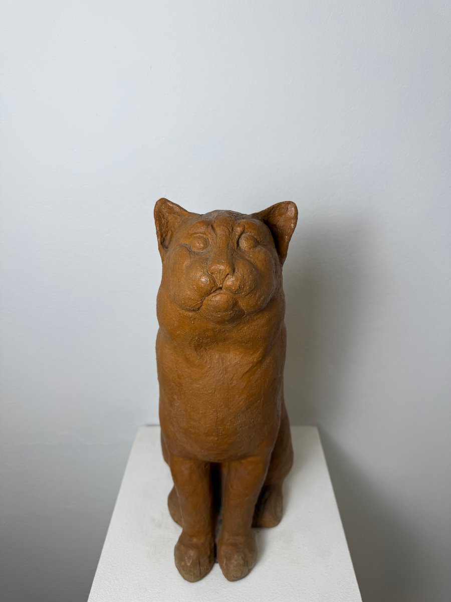 Scultura Gatto seduto in terracotta-XIX secolo. Montelupo Fiorentino, Toscana -photo-3