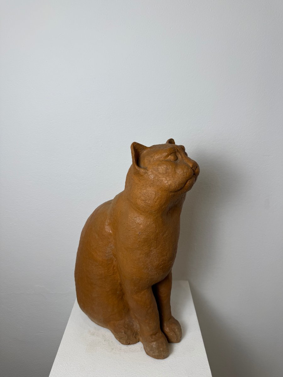 Scultura Gatto seduto in terracotta-XIX secolo. Montelupo Fiorentino, Toscana -photo-4