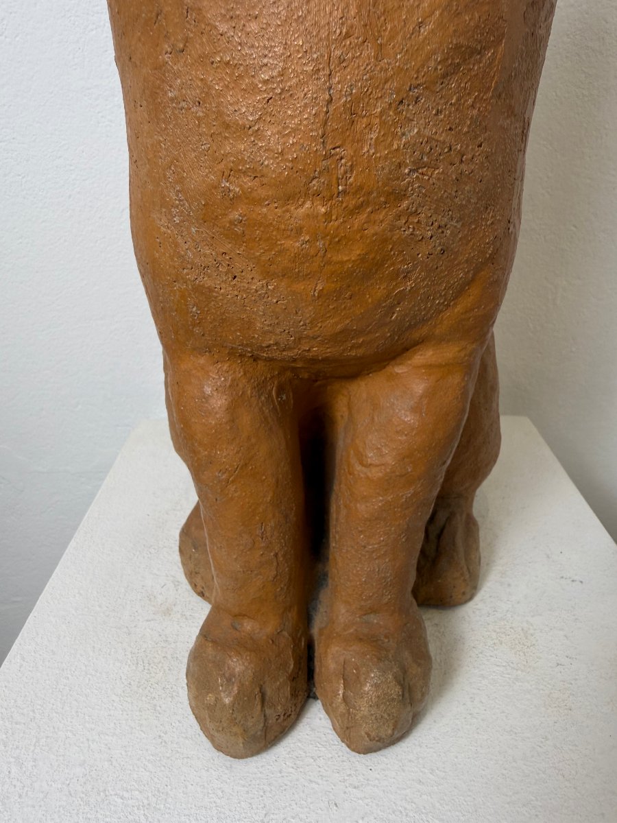 Scultura Gatto seduto in terracotta-XIX secolo. Montelupo Fiorentino, Toscana -photo-5