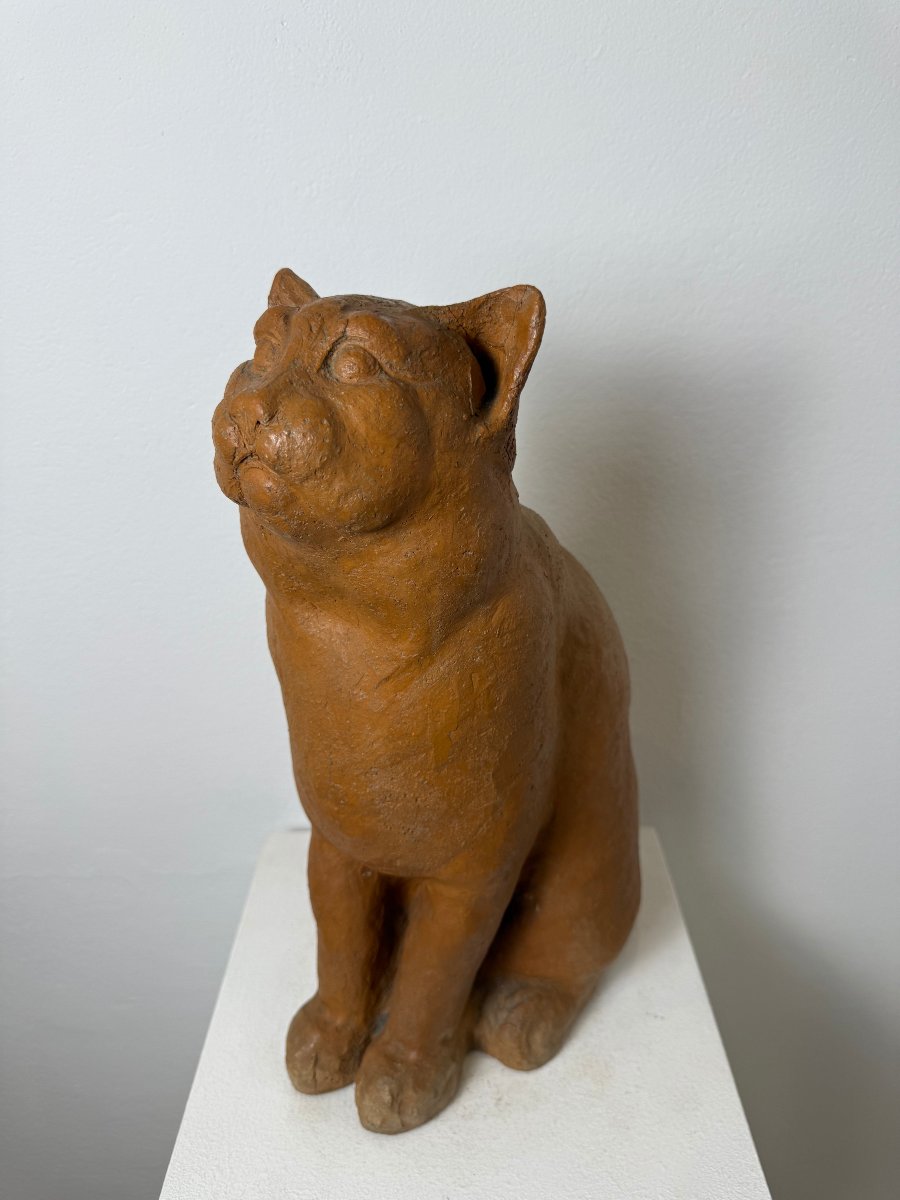 Scultura Gatto seduto in terracotta-XIX secolo. Montelupo Fiorentino, Toscana -photo-6