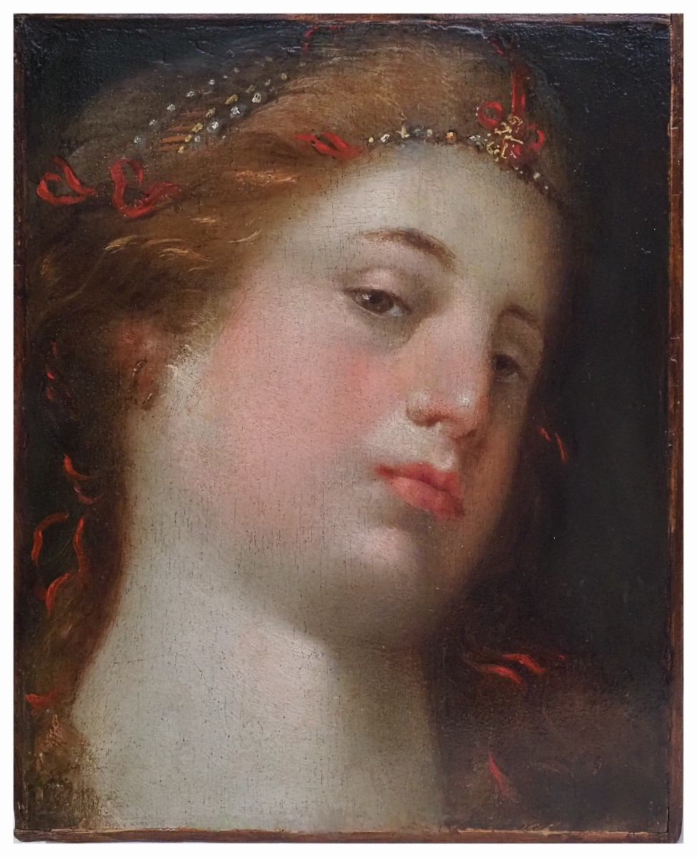 Frans Floris (cerchia), Studio per testa femminile, olio su tavola, cm. 27,xx21,5
